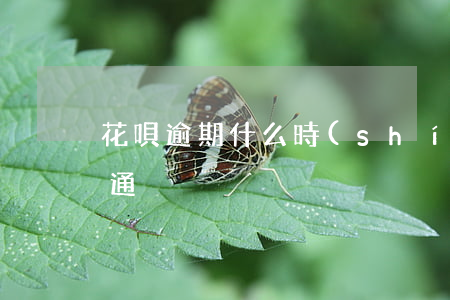 花唄逾期什么時(shí)候開(kāi)通