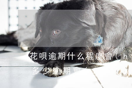 花唄逾期什么程度會(huì)被起訴(花唄多少逾期會(huì)被起訴?花唄逾期被起訴怎么辦)