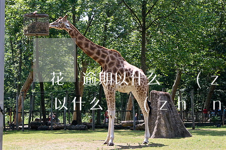 花唄逾期以什么為準(zhǔn)(花唄逾期以什么為準(zhǔn))