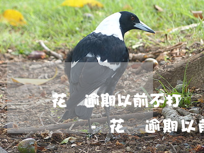 花唄逾期以前不打電話現(xiàn)在打電話-花唄逾期以前不打電話現(xiàn)在打電話了