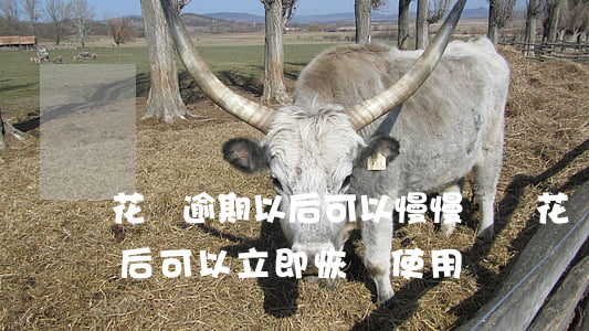 花唄逾期以后可以慢慢還嗎(花唄有逾期還款后可以立即恢復使用嗎)