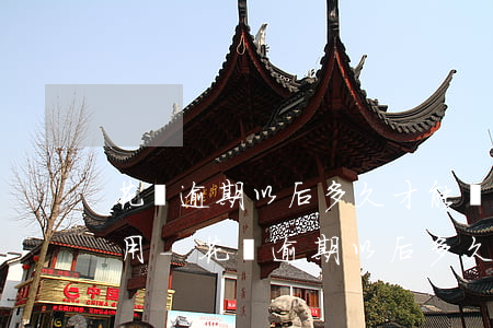 花唄逾期以后,多久才能繼續(xù)正常使用-花唄逾期以后,多久才能繼續(xù)正常使用呢