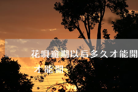 花唄逾期以后多久才能開(花唄逾期以后多久才能開)