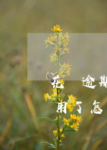 花唄逾期以后怎么再開通(花唄逾期后不能使用了怎么辦多久能恢復(fù))
