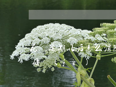 花唄逾期以后怎么消除(支付寶逾期花唄怎么修復(fù))
