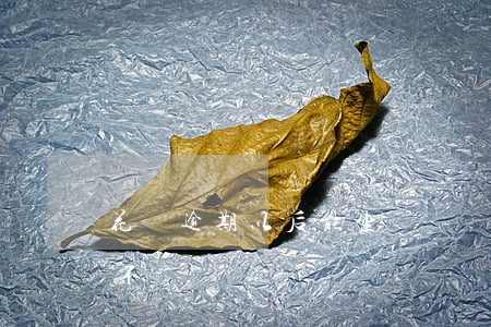 花唄逾期以后能坐飛機嗎(借唄逾期能坐飛機不)