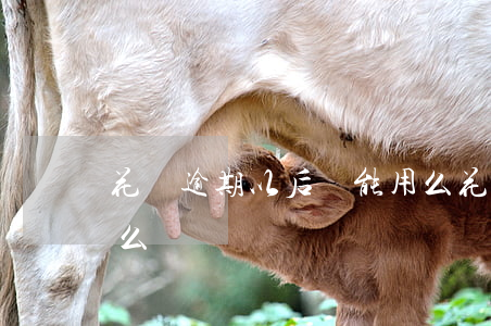 花唄逾期以后還能用么(花唄逾期以后還能用么)