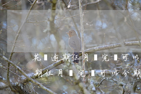 花唄逾期仨月還完還可以分期還嗎-花唄逾期仨月還完還可以分期還嗎