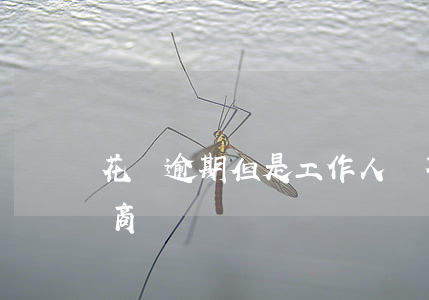 花唄逾期但是工作人員不同意協(xié)商