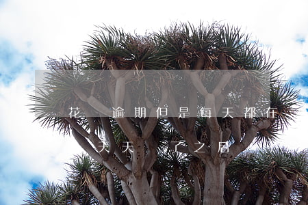 花唄逾期但是每天都在還怎么辦-花唄逾期幾天天還了之后還了影響征信嗎