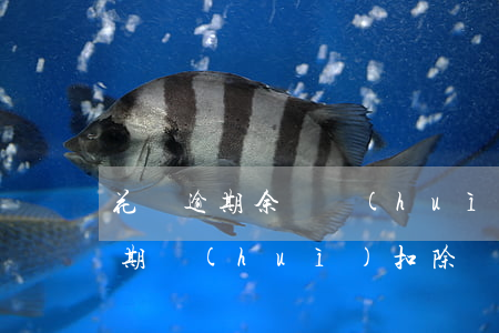 花唄逾期余額會(huì)被代扣嗎(花唄逾期會(huì)扣除別的實(shí)名支付寶的余額嗎)