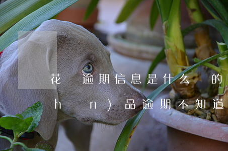 花唄逾期信息是什么樣的(花唄顯示有產(chǎn)品逾期,不知道什么產(chǎn)品逾期)