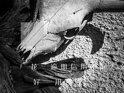 花唄逾期信用不好怎么辦(為什么花唄信用良好卻用不了)
