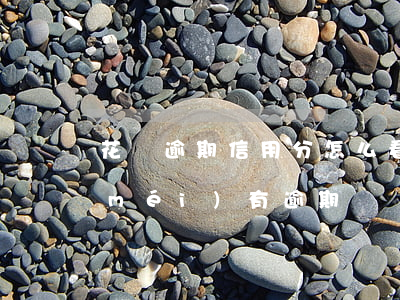 花唄逾期信用分怎么看(怎么樣看花唄有沒(méi)有逾期)