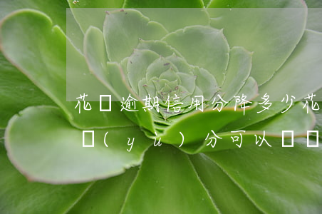 花唄逾期信用分降多少(花唄逾期之后多少信譽(yù)分可以繼續(xù)使用)