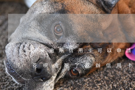 花唄逾期信用卡可以申請(qǐng)不-花唄逾期了能辦信用卡嘛