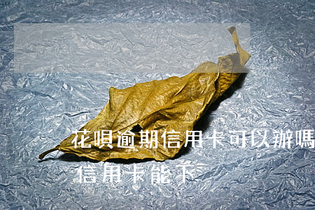 花唄逾期信用卡可以辦嗎(花唄逾期辦理什么信用卡能下)