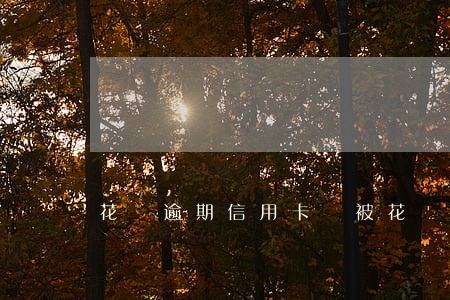 花唄逾期信用卡會被(花唄逾期信用卡會被降額嗎?)
