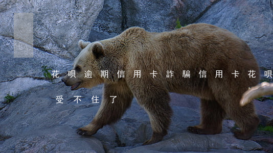花唄逾期信用卡詐騙(信用卡花唄都逾期快承受不住了)