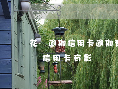 花唄逾期信用卡逾期有一樣的嗎-花唄逾期與信用卡有影響嗎?