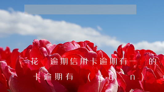 花唄逾期信用卡逾期有一樣的嗎(花唄跟信用卡逾期有關(guān)聯(lián)嗎)