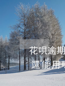 花唄逾期信用卡還能用嗎(信用卡逾期了花唄還能用嗎?)