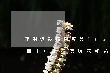 花唄逾期信用度會(huì)減少嗎(花唄逾期半年上征信嗎?花唄逾期有什么后果)