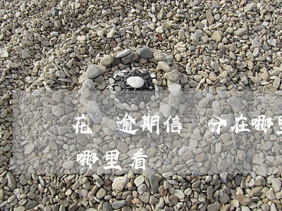 花唄逾期信譽分在哪里看(花唄逾期信譽分在哪里看)