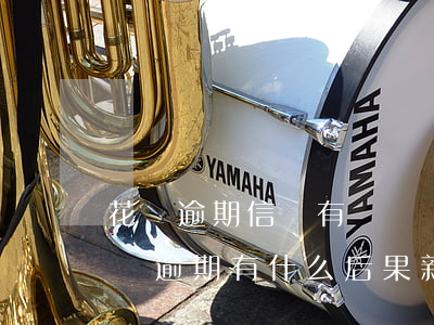 花唄逾期信譽有問題嗎(花唄逾期上征信嗎?花唄逾期有什么后果 新聞)
