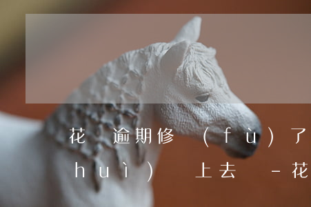 花唄逾期修復(fù)了扣掉的芝麻分會(huì)漲上去嗎-花唄逾期了用芝麻修復(fù)逾期記錄還能開(kāi)通嗎