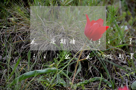 花唄逾期修復(fù)了芝麻分可以修復(fù)么-花唄逾期了修復(fù)需要30個(gè)芝麻粒怎么能