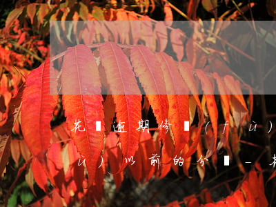 花唄逾期修復(fù)后,芝麻分會恢復(fù)以前的分嗎-花唄逾期了修復(fù)需要30個芝麻粒怎么能