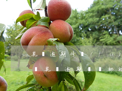花唄逾期修復(fù)征信會(huì)改嗎(花唄逾期記錄都被修復(fù)了,還會(huì)影響芝麻信用嗎)