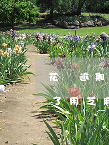 花唄逾期修復后芝麻分漲的快嗎-花唄逾期了用芝麻修復逾期記錄還能開通嗎