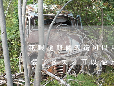 花唄逾期倆天還可以用嗎(花唄逾期了兩個月還了多久才可以使用)
