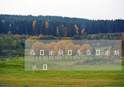 花唄逾期倆年(花唄逾期倆年,以后銀行貸款可以嗎?)