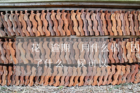花唄逾期倆月什么情況(因為花唄逾期了兩年了什么時候可以)