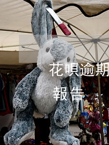 花唄逾期個人征信報告-花唄逾期個人征信報告