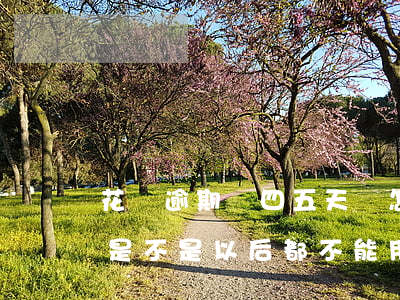 花唄逾期個四五天會怎么樣-花唄逾期四天是不是以后都不能用了?