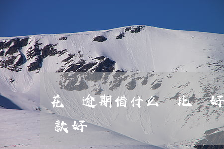 花唄逾期借什么貸比較好借(借唄逾期怎么還款好)