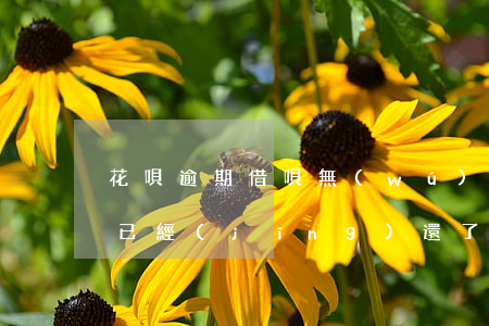 花唄逾期借唄無(wú)法使用了(花唄逾期已經(jīng)還了,怎么還不可以用花唄)
