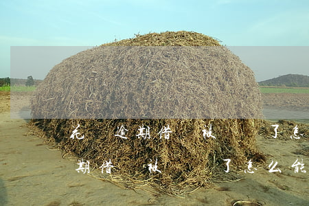 花唄逾期借唄被關閉了怎么能恢復-花唄逾期借唄被關閉了怎么能恢復正常