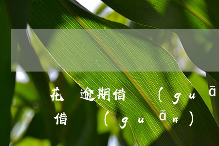 花唄逾期 借唄關(guān)閉-花唄逾期 借唄關(guān)閉怎么辦