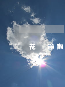 花唄逾期做不了硬臥嗎(花唄逾期做不了硬臥嗎)