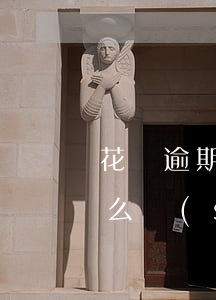 花唄逾期停止使用后果(花唄被限制使用了,什么時(shí)候可以恢復(fù))