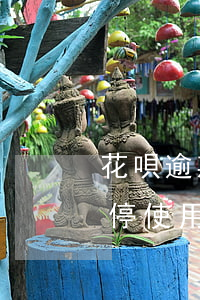 花唄逾期停止還款怎么辦(花唄逾期2年,被暫停使用,怎么才能把欠的錢還進(jìn)去)