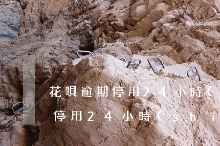 花唄逾期停用24小時(shí)(花唄逾期停用24小時(shí))