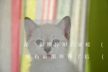 花唄逾期停用后又被開(kāi)通(花唄之前有逾期停用了后來(lái)又恢復(fù)了會(huì)影響以后貸款嗎)