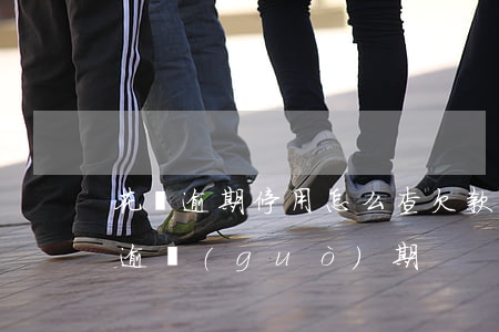 花唄逾期停用怎么查欠款(怎么查花唄有沒有逾過(guò)期)