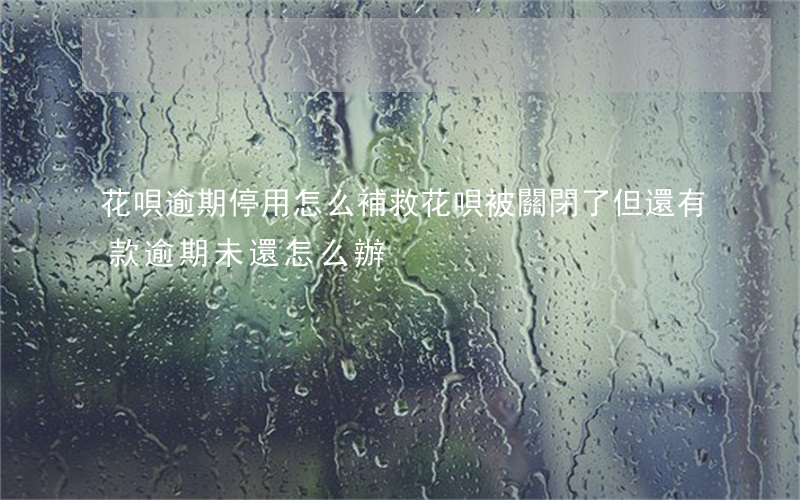 花唄逾期停用怎么補救(花唄被關閉了但還有款逾期未還怎么辦)